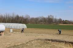 Mini IMG 5910